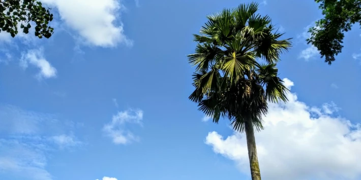 351665157-0d46472294f79d9aa73af1f313afbe7bc0e450e803aa4e219fe315300a8c27d0.jpeg