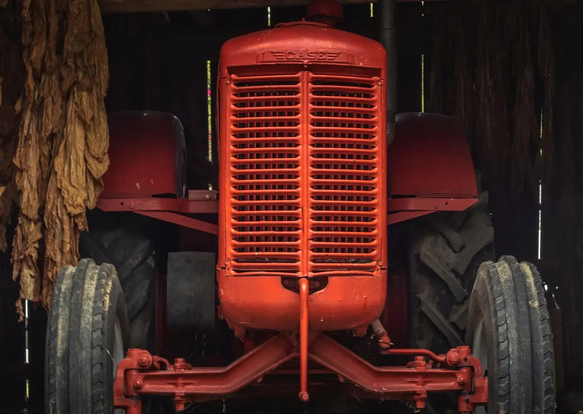 Ancient Farming Tech in Modern Times