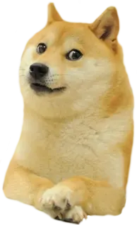 d1ec608edf2935e5837ffdec49ebe8a0ccde32b1298259238cc5a8b4826294d9.png