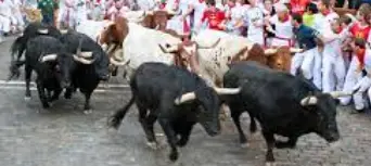e3a48226d5fd42f40c88664cb265d1ae2447381c11e4e665f0a378c81dfa733f.png