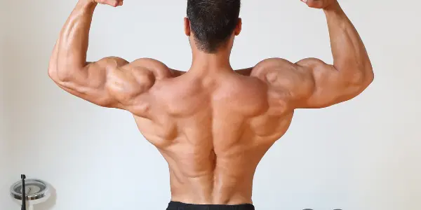 Back and Biceps