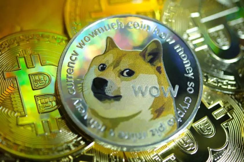 Dogecoin rise or fall