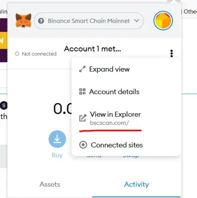 metamask bscscan