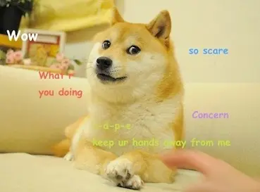 9884cc96c8cf88f60e61058503f9fd9654223bdc1a092a8b1d2d1c12c09daea6.jpg