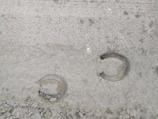Discovering Mysterious Footprints While Running on The Beach