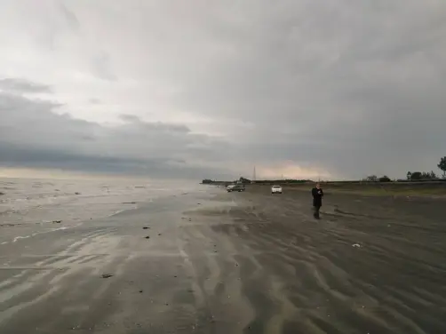 Yes! the mysterious footprints belonged to a sleepy turtle that wanted to reach the waves of the sea.