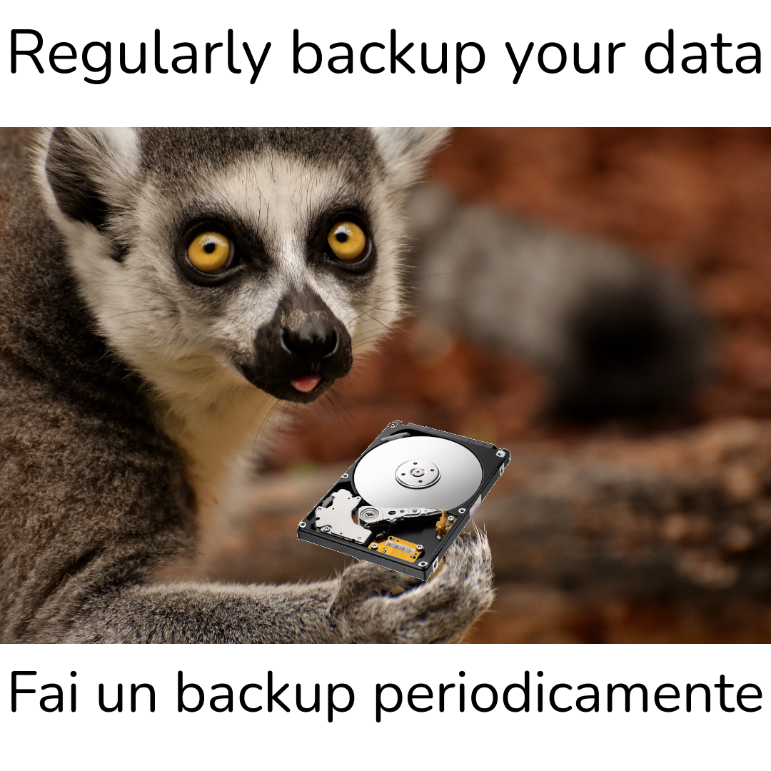 lemur harddisk backup