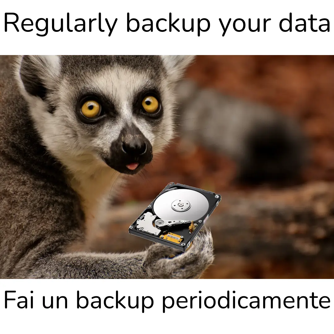 lemur harddisk backup