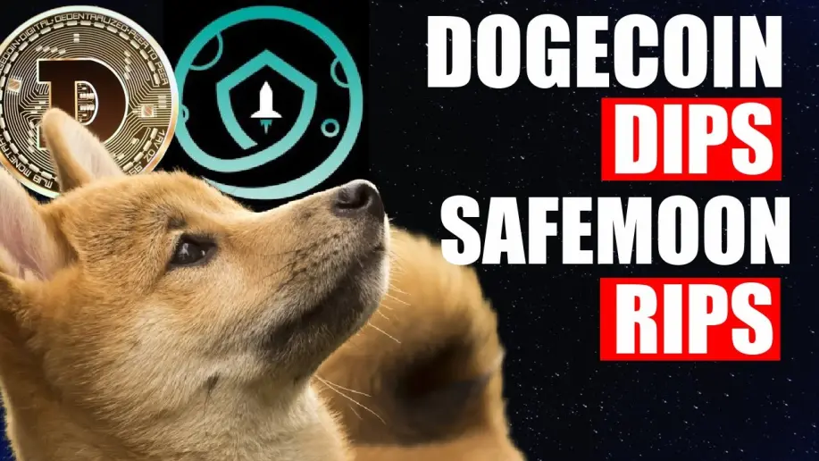 Doge dip, moon rip