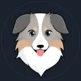 ASS Australian Safe Shepherd, where to buy