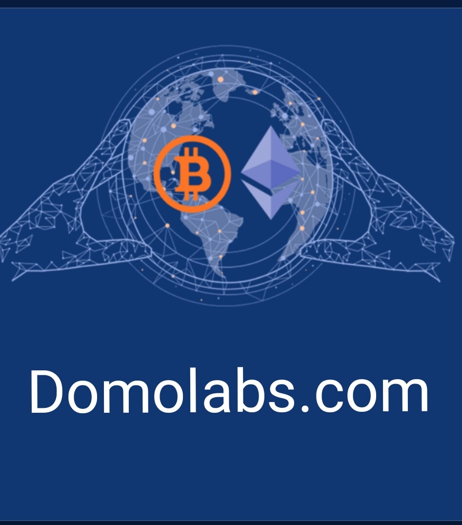 domolabs.com