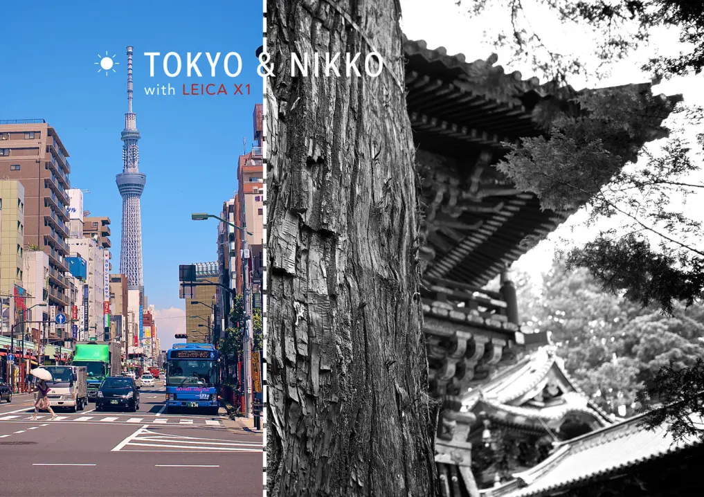 Tokyo city and Nikko village