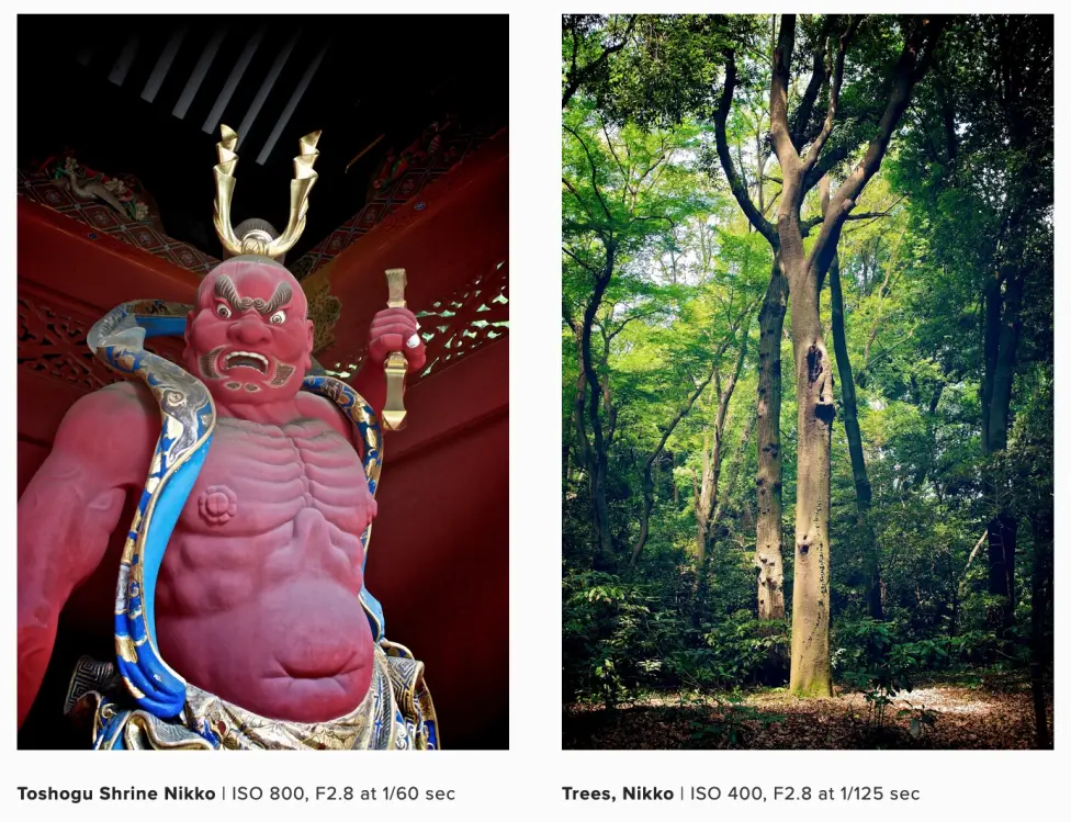 Statue and tree in Nikko