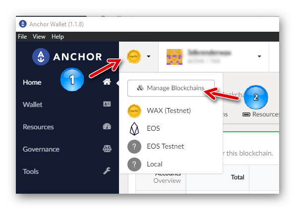 Manage Blockchains