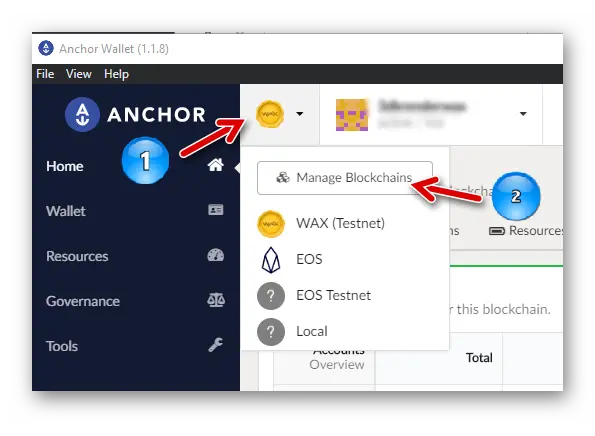 Manage Blockchains