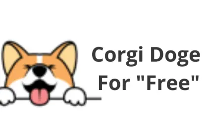 Corgi Doge