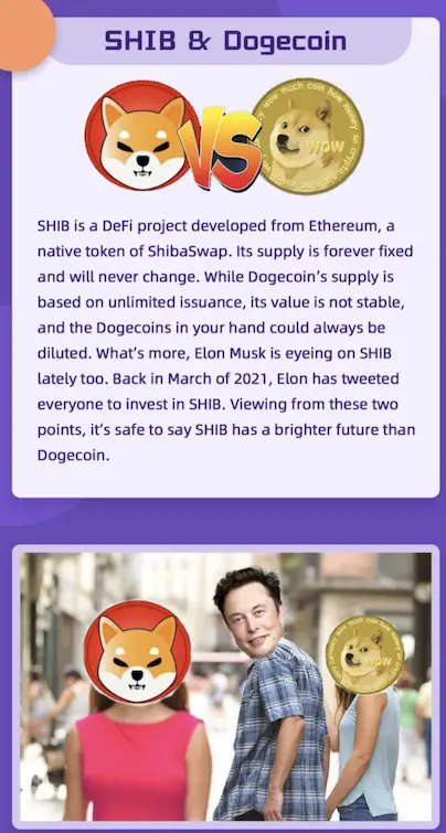 cryptocurrency, shib, doge, crypto
