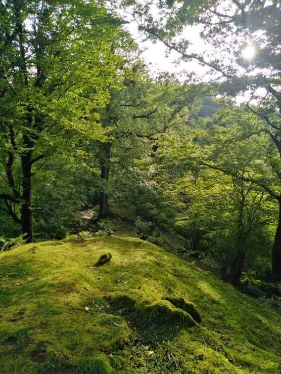 How to Revive A Lost Friendship | Embracing Nature Might Help!