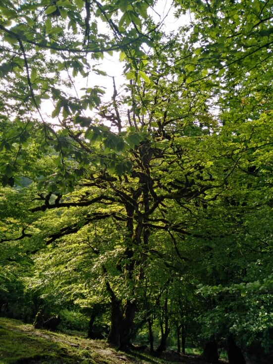 How to Revive A Lost Friendship | Embracing Nature Might Help!