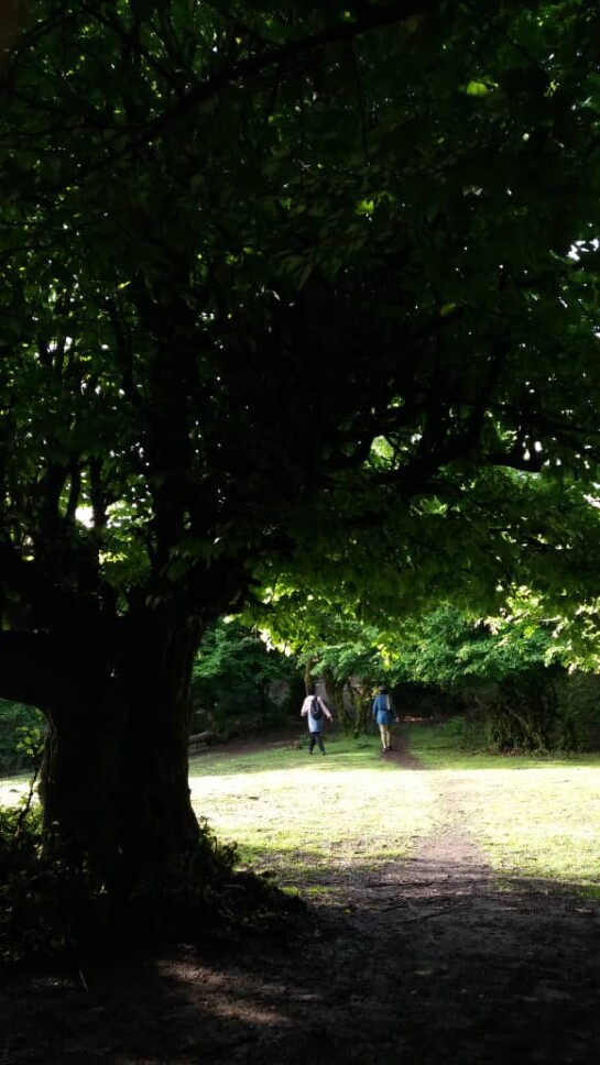 How to Revive A Lost Friendship | Embracing Nature Might Help!