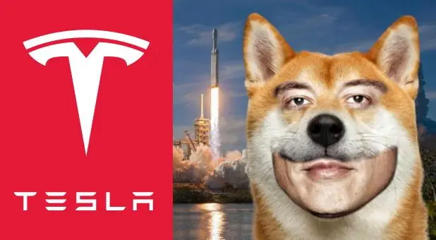 15d40b713273f20137c9f828dd9b751787138a8bd96fb40f910736ab253cc1de.jpg