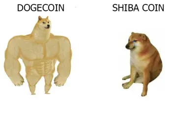 5b5a440836505d9354c4547ab4dbcd174e3f9db28c22471133af8745233bd11a.jpg
