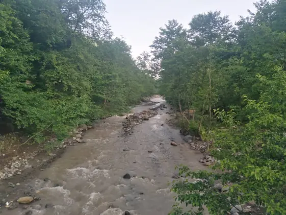 Pristine Nature, Soaring Trees & Exceptional Green Spring