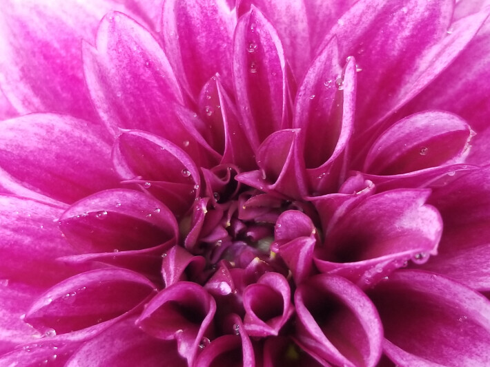 351665157-214608cae4356d5fdd9666e01726bb001f9dde82ac197d5492a1727d82493348.jpeg
