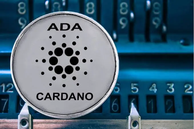 a637ce8c216b490f4fae923a42e76230c932dc7fe54e04d0767b330d07a1df94.jpg