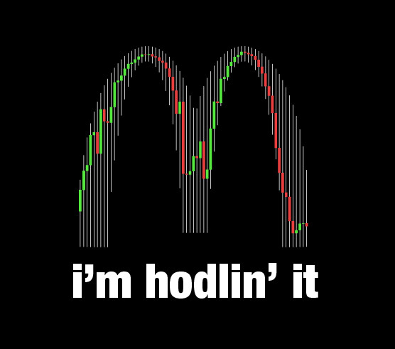 i'm hodlin' it