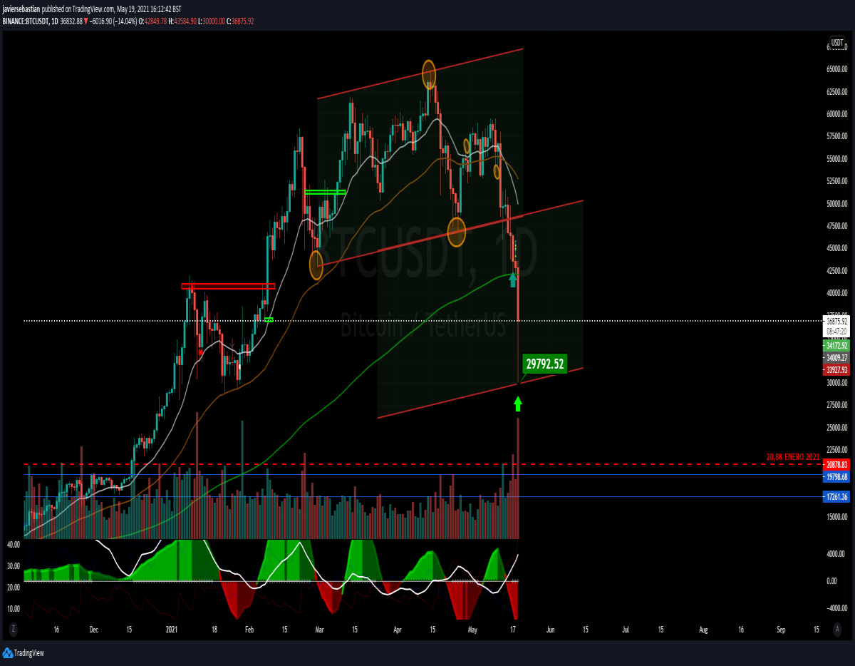 Neo Fractal Trading Update #1