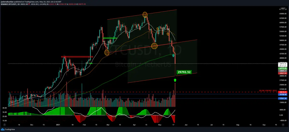 Neo Fractal Trading Update #1