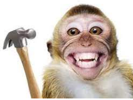 3ec4ae0ba3e0963c44295982b342d1bc9bdb7bbdd438906bcc5e8ee03ea00121.png