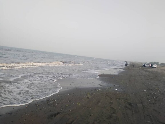 A Sunny Day, Seagulls & Sightseeing on The New Beach