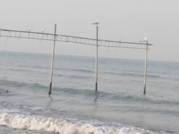 A Sunny Day, Seagulls & Sightseeing on The New Beach