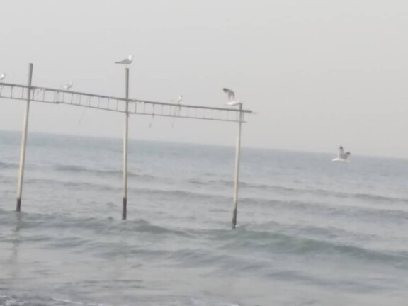 A Sunny Day, Seagulls & Sightseeing on The New Beach