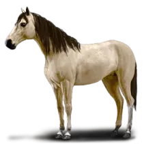 1bf1cc8aab3729493c7df5c96dce40fc38f82bc50cab26aa0ebfe6fa18b477a7.png