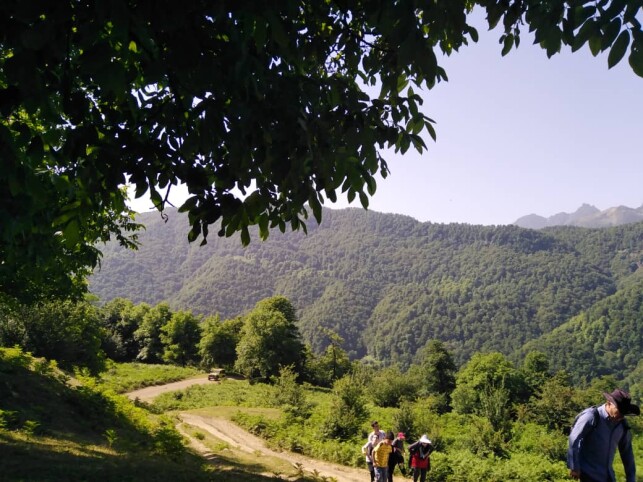 The Tallest Waterfall in Iran | An Adventurous Journey in Enchanting Forests (Part 1)