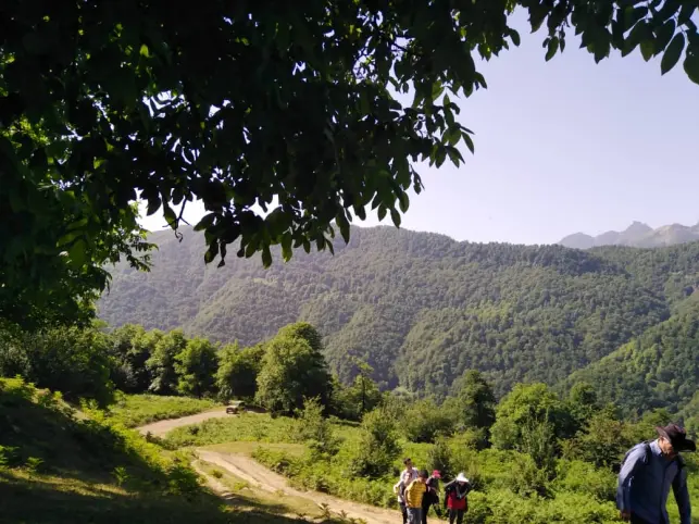 The Tallest Waterfall in Iran | An Adventurous Journey in Enchanting Forests (Part 1)