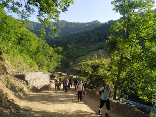 The Tallest Waterfall in Iran | An Adventurous Journey in Enchanting Forests (Part 1)
