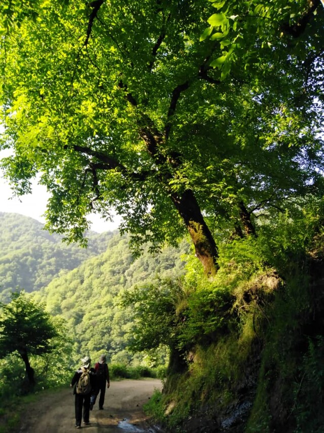 The Tallest Waterfall in Iran | An Adventurous Journey in Enchanting Forests (Part 1)