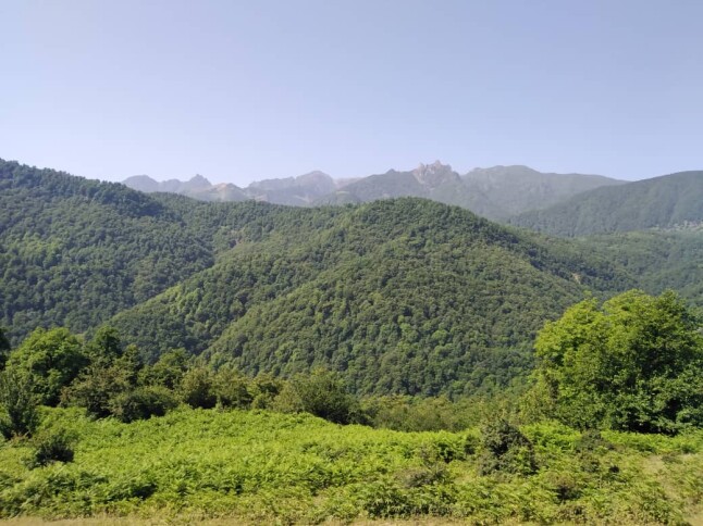 The Tallest Waterfall in Iran | An Adventurous Journey in Enchanting Forests (Part 1)