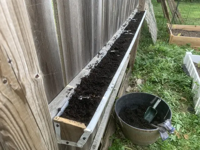 filled with dirt