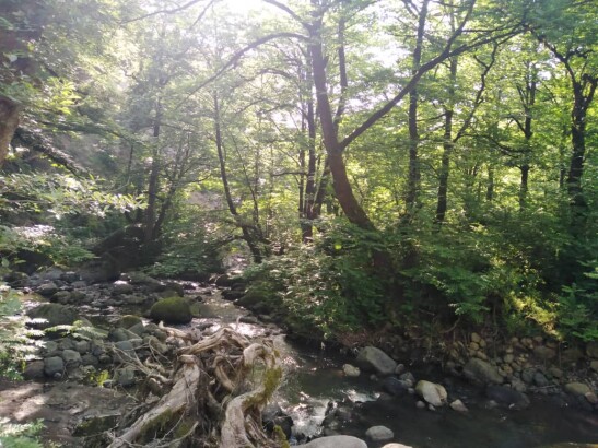 The Tallest Waterfall in Iran | An Adventurous Journey in Enchanting Forests (Part 2)