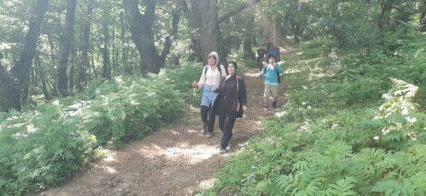 The Tallest Waterfall in Iran | An Adventurous Journey in Enchanting Forests (Part 3)