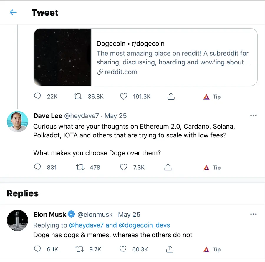 elon, crypto