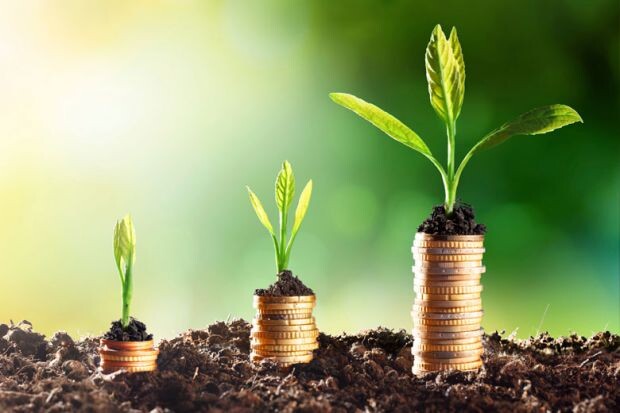 Yield Farming photo - Stock Photo