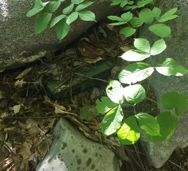 Ammo can geocache find