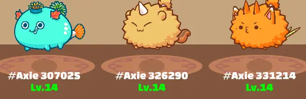 our axie team at level 14.png