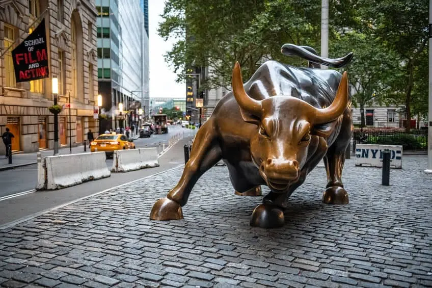 Charging bull.